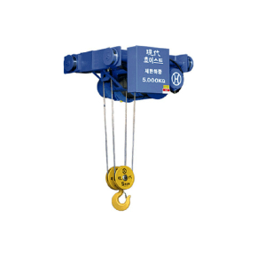 Double Special Type Hoist With Motor-Driven Trolley (HS)